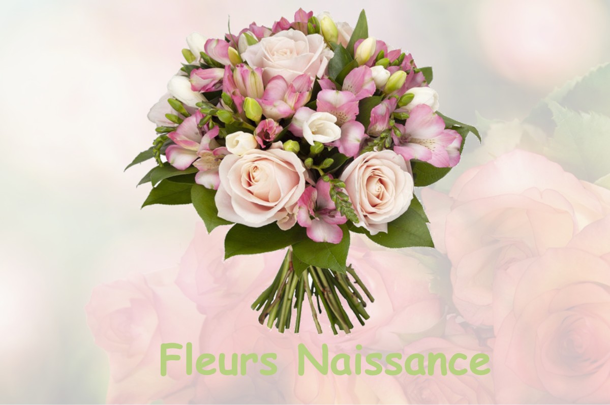 fleurs naissance LISSAC-SUR-COUZE