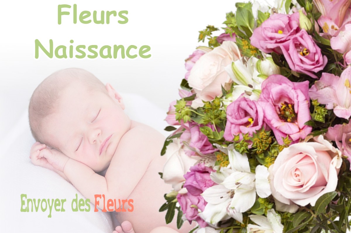 lIVRAISON FLEURS NAISSANCE à LISSAC-SUR-COUZE